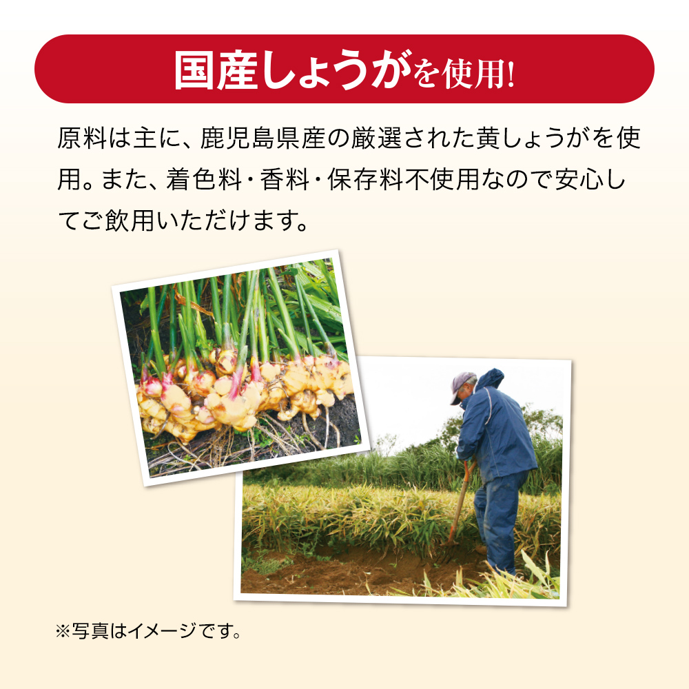 燃えるしょうがパワー フィンガールートカプセル180粒×5袋セット 健康 美容 まるごと濃縮しょうが粒｜健康食品の通販 山田養蜂場【公式】