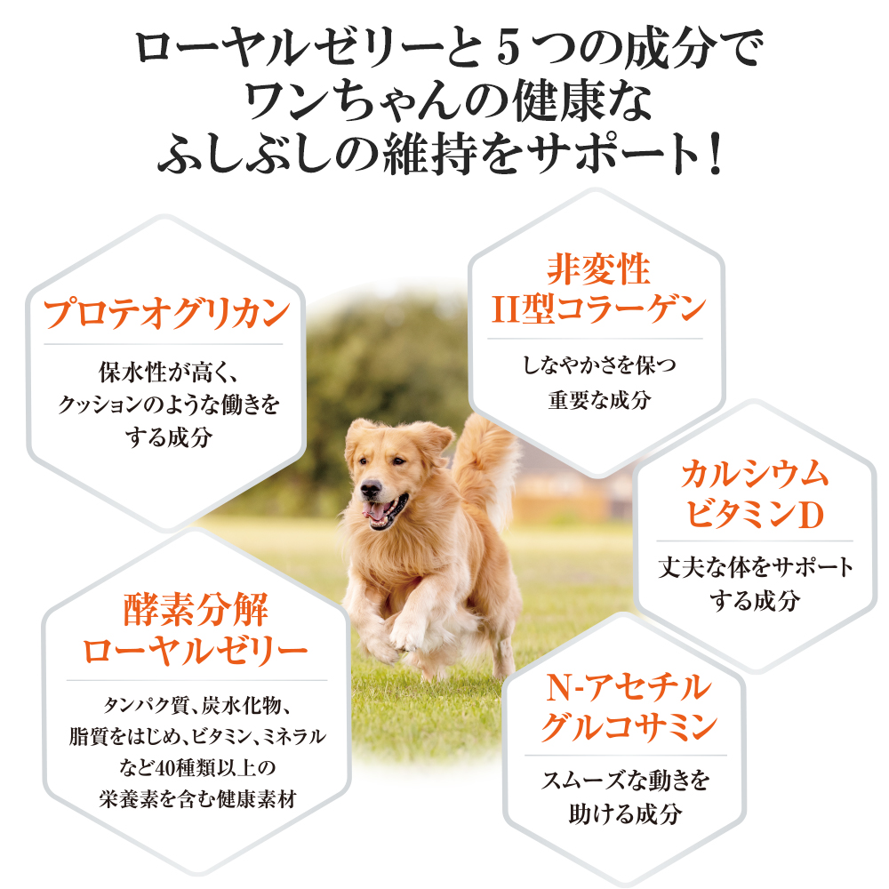 ワンちゃん用グルコサミン｜健康食品の通販 山田養蜂場【公式】