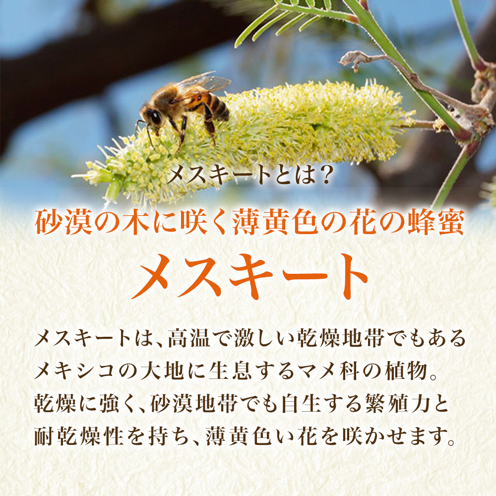 蜂蜜 メスキート蜂蜜(メキシコ産)｜はちみつ・自然食品の通販 山田養蜂場