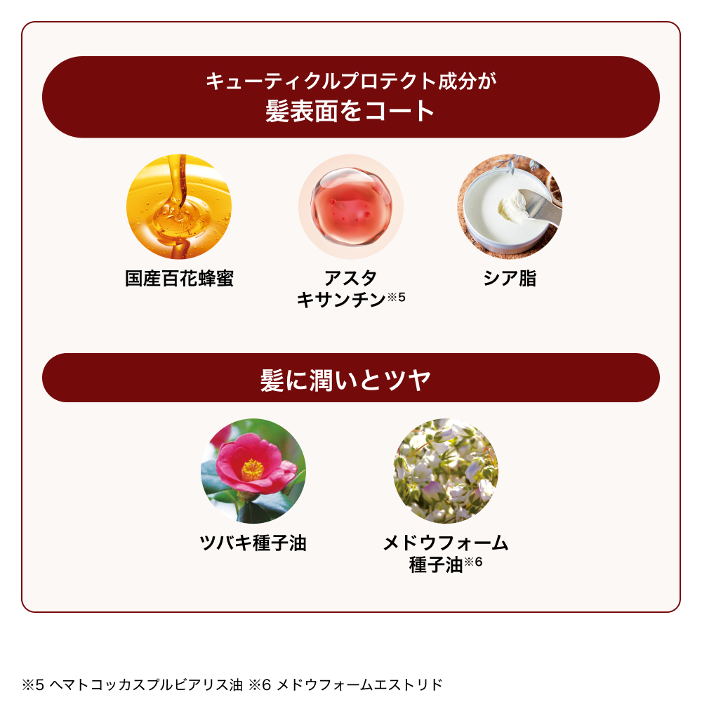 REDさん専用 赤丸 ZX4R – Glanz—High Performance Paint Factory