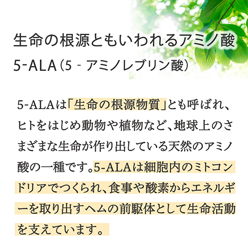 5-ALA｜健康食品の通販 山田養蜂場【公式】