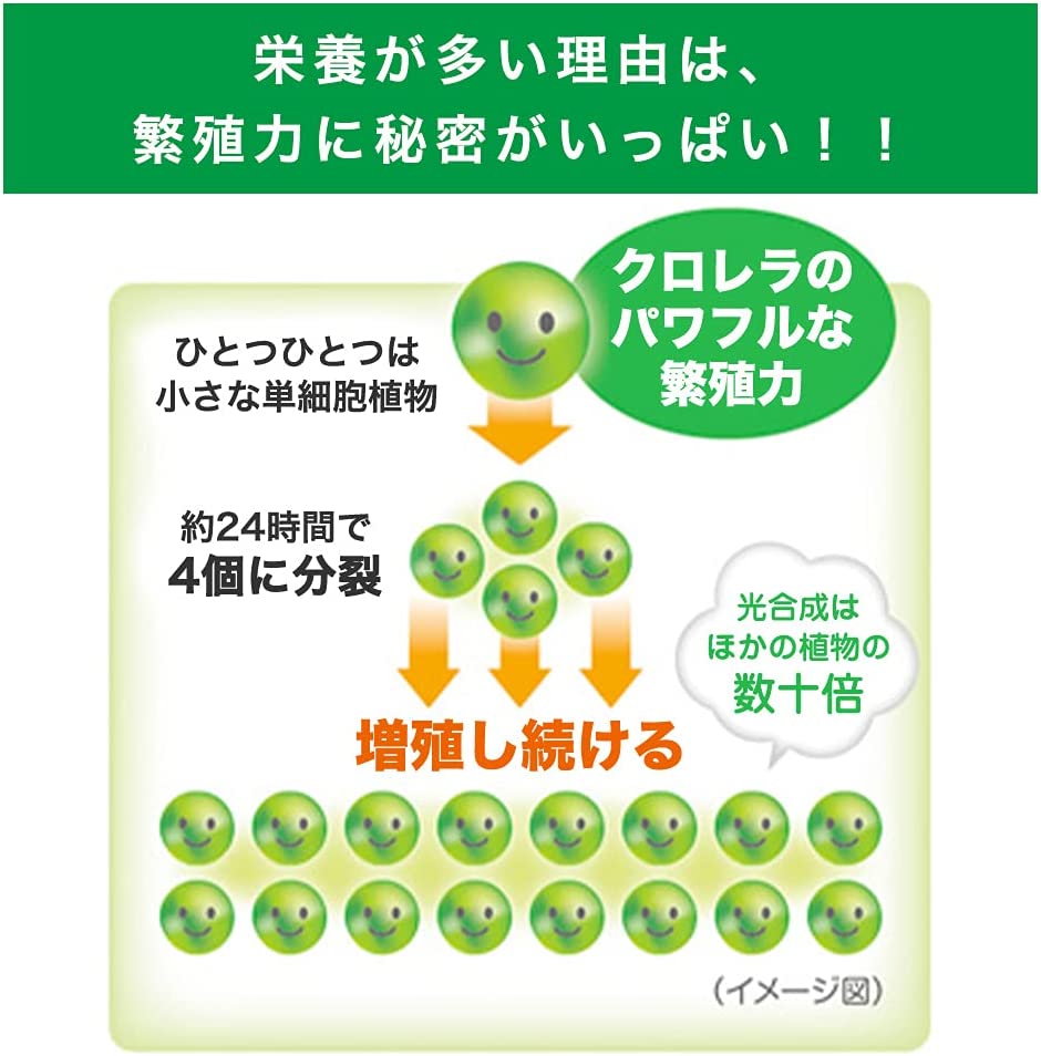 100%クロレラ粒｜健康食品の通販 山田養蜂場【公式】