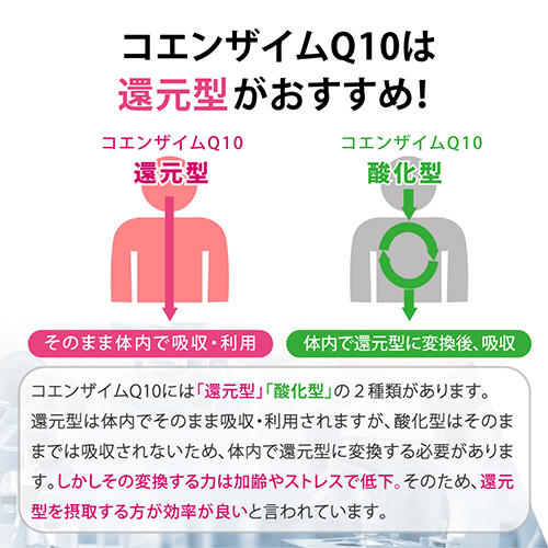 【新品】還元型コエンザイムQ10 還元型コエンザイムQ10｜健康食品の通販 山田養蜂場【公式】