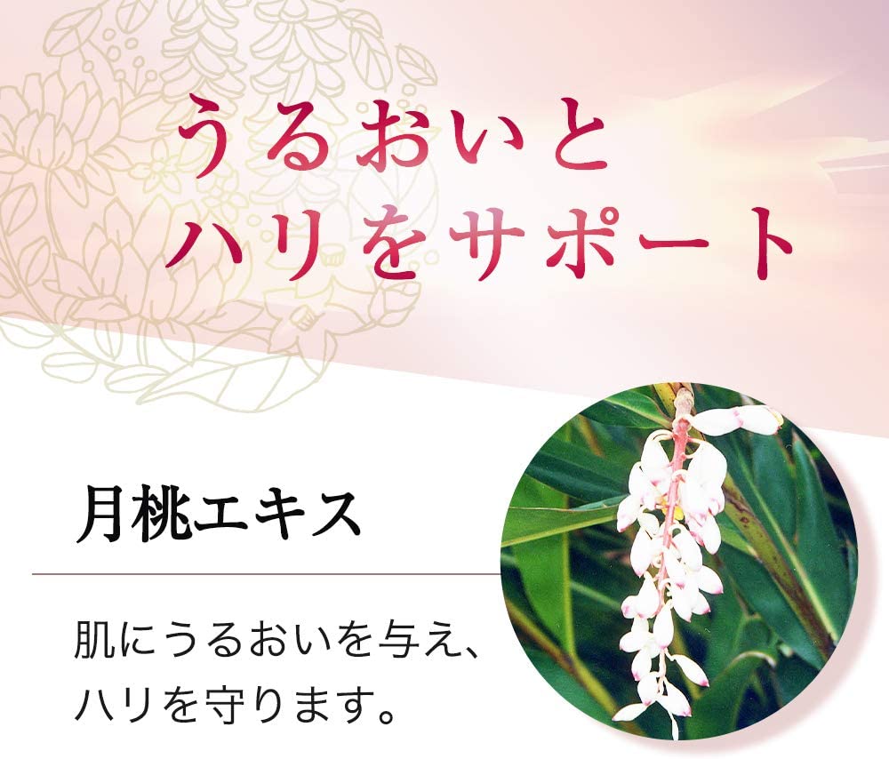 BEE MAKE リメイクコンパクト｜化粧品の通販 山田養蜂場【公式】