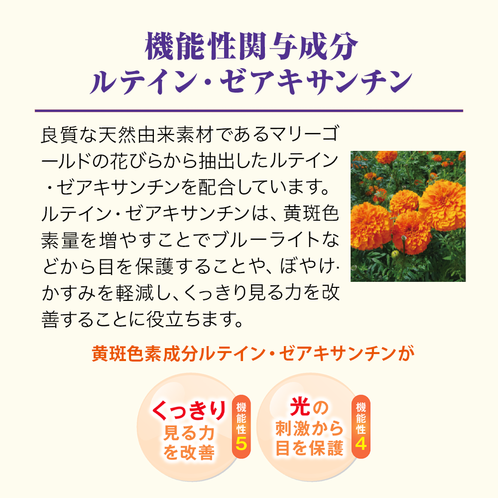 ブルーベリー+ルテイン｜健康食品の通販 山田養蜂場【公式】