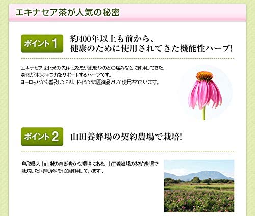 [YAMADA ] 商品 Collectable Candy Toy - No.1 Sentai Gozyuger - BANDAI Candy