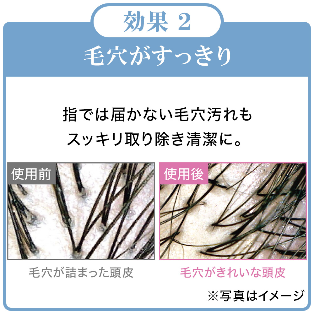 プレミアム地肌ケアブラシ｜化粧品の通販 山田養蜂場【公式】